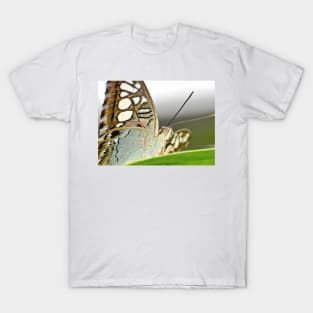 Clipper Butterfly T-Shirt